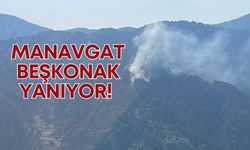 Manavgat Beşkonak alev alev!