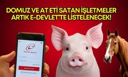 Antalya’da domuz ve at eti satan işletmeler artık E-Devlet’te listelenecek!