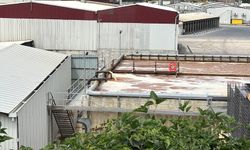 Tavuk fabrikasından sızan atık suları köylüyü hastanelik etti