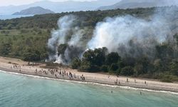 Fethiye'de orman yangını!