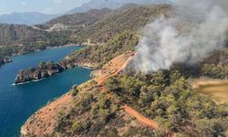 Fethiye'de ormanlık alanda yangın!