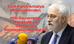 DEM Partili Oluç'tan Meclis Komisyonu'na eleştiri: Yapabileceği bir şey yok!
