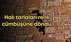 Antalya'da halı hasadı başladı: Tarlalar renk cümbüşüne döndü
