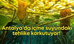 Kırkgöz Göleti'nde tehlike çanları çalıyor!