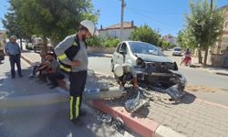 Karaman'da kediye çarpmamak için direği devirdi