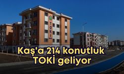 Kaş'a 214 konutluk TOKİ geliyor