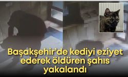 Başakşehir’de kediyi eziyet ederek öldüren şahıs yakalandı