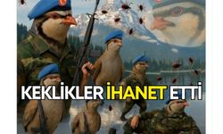 Kene savaşçısı keklikler, aslında gizli ortakmış