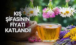 Kış şifasının fiyatı katlandı! Kekik, adaçayı, defne tüketmek hayal olacak