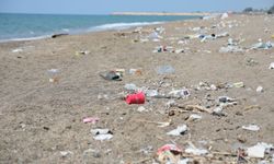 İsa Yıldırım, çöplüğe dönen Kumköy Sahili için çağrıda bulundu