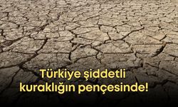 Türkiye şiddetli kuraklığın pençesinde!