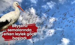 Beyşehir semalarında erken leylek göçü başladı