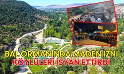 Bal ormanında maden izni köylüleri isyan ettirdi!