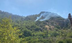 Anamur'da yangın: 2 mahalle tahliye edildi!