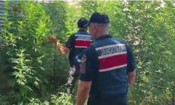 Mersin'de zehir operasyonu: Kilolarca madde ele geçirildi!