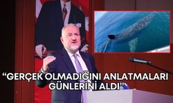 Antalya’nın gündeminde bu görüntü var! Gerçek olmadığını anlatmaları günlerini aldı