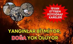 Antalya’da isyan: Yangınlar bitmiyor, doğa yok oluyor