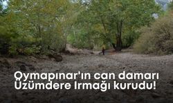 Oymapınar'ın can damarı Üzümdere Irmağı kurudu!