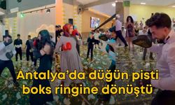 Böyle düğün görülmedi! Düğün pisti boks ringine dönüştü