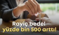 Rayiç bedel yüzde bin 500 arttı! İş dünyası tepkili