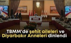 TBMM'de şehit aileleri ve Diyarbakır Anneleri dinlendi