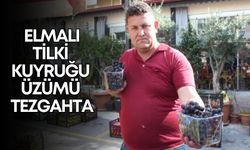 Uluslararası Nuh’un Ambarı'na aday gösterilen Elmalı Tilki Kuyruğu üzümü tezgahta
