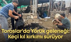 Toroslar'da Yörük geleneği: Keçi kıl kırkımı sürüyor