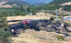 Eğirdir'de ilginç vaka: Kuşlar yangın çıkardı!