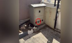 Antalya’da trafoya giren kedi paniği