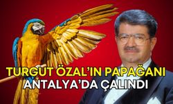 Eski Cumhurbaşkanı Özal’ın papağanı Cabbar Antalya’da çalındı