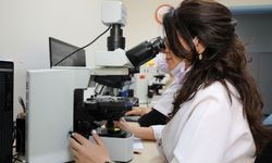 Akdeniz Üniversitesi'nin öğretim üyelerine enstitüden destek