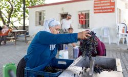 Mersin Büyükşehir'den üreticiye destek! Üzüm üreticilerinin yüzü güldü