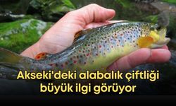 Akseki'deki alabalık çiftliği büyük ilgi görüyor