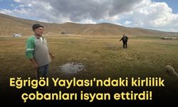 Eğrigöl Yaylası'ndaki kirlilik çobanları isyan ettirdi!