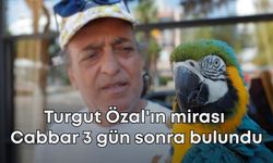 Turgut Özal'ın mirası Cabbar 3 gün sonra bulundu
