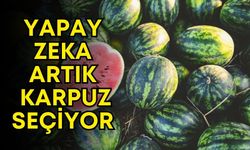 Yapay zeka sınırlarını aştı! Artık Konya’da karpuz seçiyor