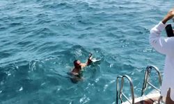 Alanya'da oltaya takılan martı için seferber oldular