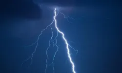 Yağmurdan sığındığı ağaca yıldırım düştü! Hayatını kaybetti