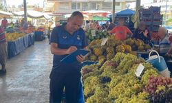 Manavgat’ta zabıta ekipleri denetimlerini sürdürüyor
