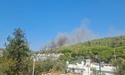 Bodrum’da yangına havadan müdahale!