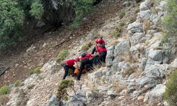 Avusturalyalı turist Muğla’nın tarihi Likya yolunda ölü bulundu