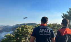 Antalya Valiliği açıkladı: Alanya 400 hektar zarar gördü