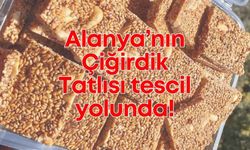 Alanya’nın Çiğirdik Tatlısı tescil yolunda