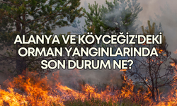 Alanya ve Köyceğiz'deki orman yangınlarında son durum ne? Tarım ve Orman Bakanı açıkladı!