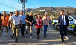 Başkan Vekili Özdemir, Alanya yangınındaki son durumu açıkladı