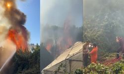 Alanya'da çalılık alanda çıkan yangın seralara sıçradı!