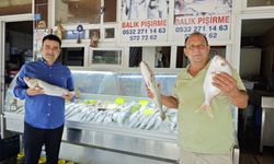 Gazipaşa balıkçılarına 'Rast gele!'