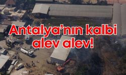 Antalya’nın kalbinde yangın felaketi! Evler, işyerleri ve seralar zarar gördü