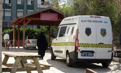 Antalya'da cami avlusundaki kedi evi 1 haftada 3 kez çöpe atıldı