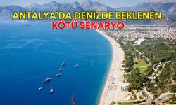 Antalya’da denizde beklenen kötü senaryo! Prof. Dr. Mehmet Gökoğlu uyardı
